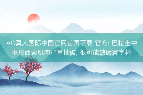 AG真人国际中国官网首页下载 官方: 巴拉圭中枢恩西索肌肉严重扯破， 很可能缺席寰宇杯