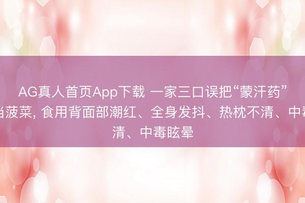 AG真人首页App下载 一家三口误把“蒙汗药”植物当菠菜， 食用背面部潮红、全身发抖、热枕不清、中毒眩晕