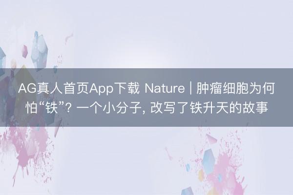 AG真人首页App下载 Nature | 肿瘤细胞为何怕“铁”? 一个小分子， 改写了铁升天的故事