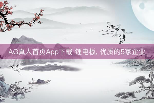 AG真人首页App下载 锂电板， 优质的5家企业