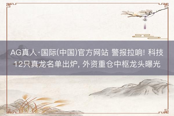 AG真人·国际(中国)官方网站 警报拉响! 科技12只真龙名单出炉， 外资重仓中枢龙头曝光